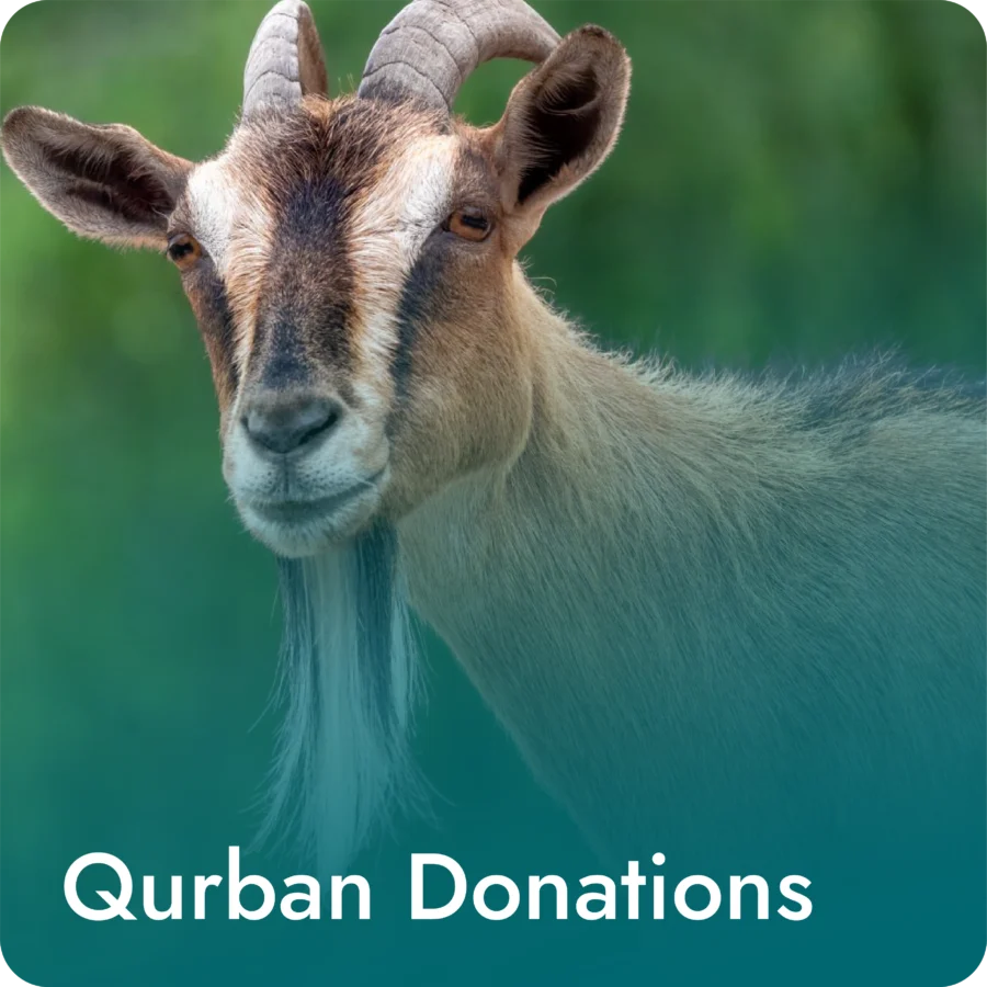 Qurban Donations - Goat